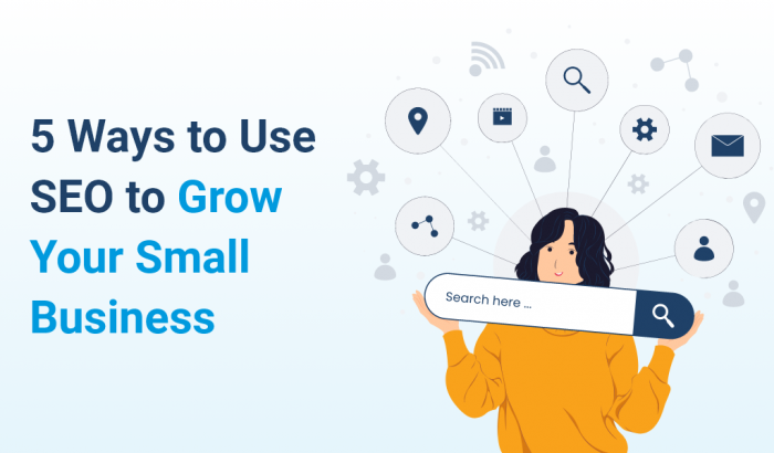 Use SEO To Grow Your Small Business - Animink